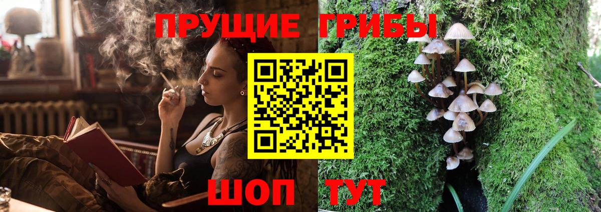 Псилоцибиновые грибы прущие грибы Саки